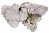 Amethyst Crystal Cluster over Biotite - India #168770-1